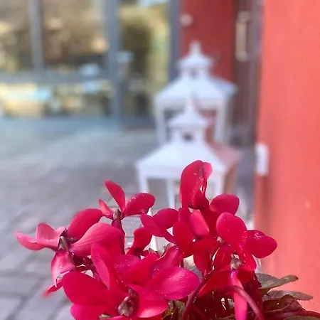 게스트하우스 La Casina Rossa