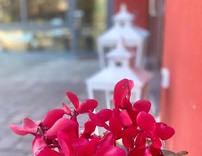게스트하우스 La Casina Rossa